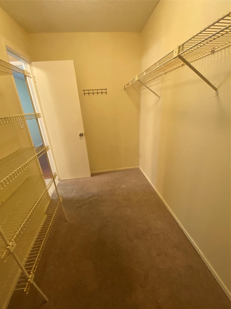 10616 Mellow Meadows Dr Mdws - Photo 28