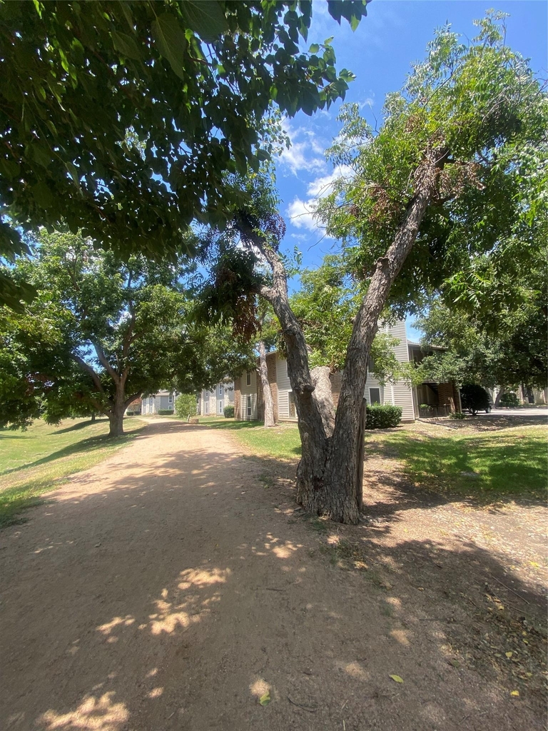 10616 Mellow Meadows Dr Mdws - Photo 39