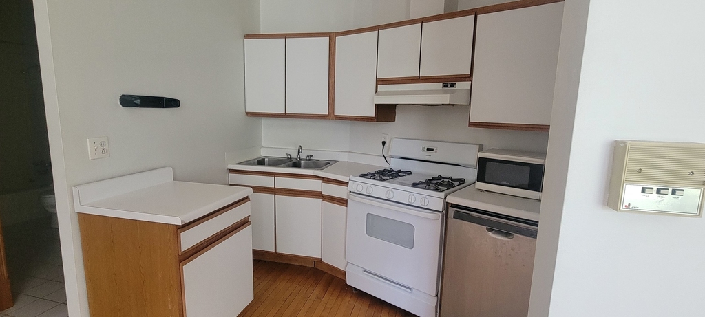 3420 N Paulina Street - Photo 6