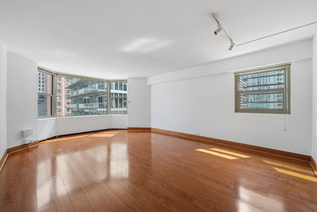 535 N Michigan Avenue - Photo 3