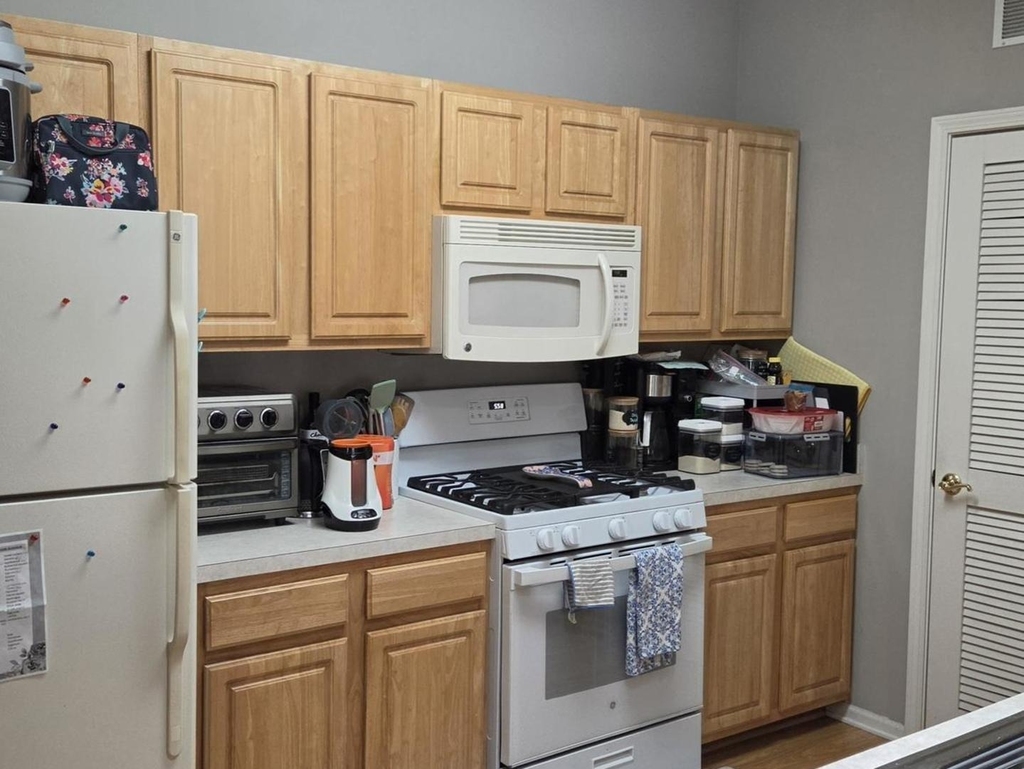 1259 W Lake Street - Photo 1