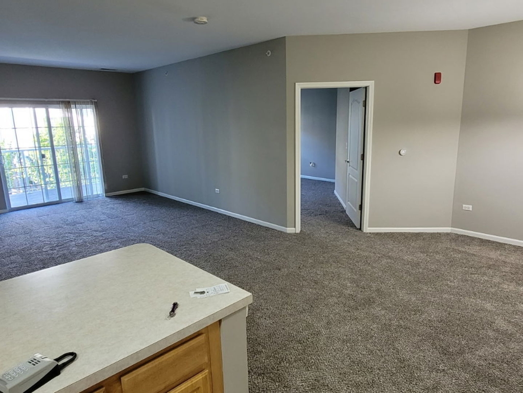1259 W Lake Street - Photo 5