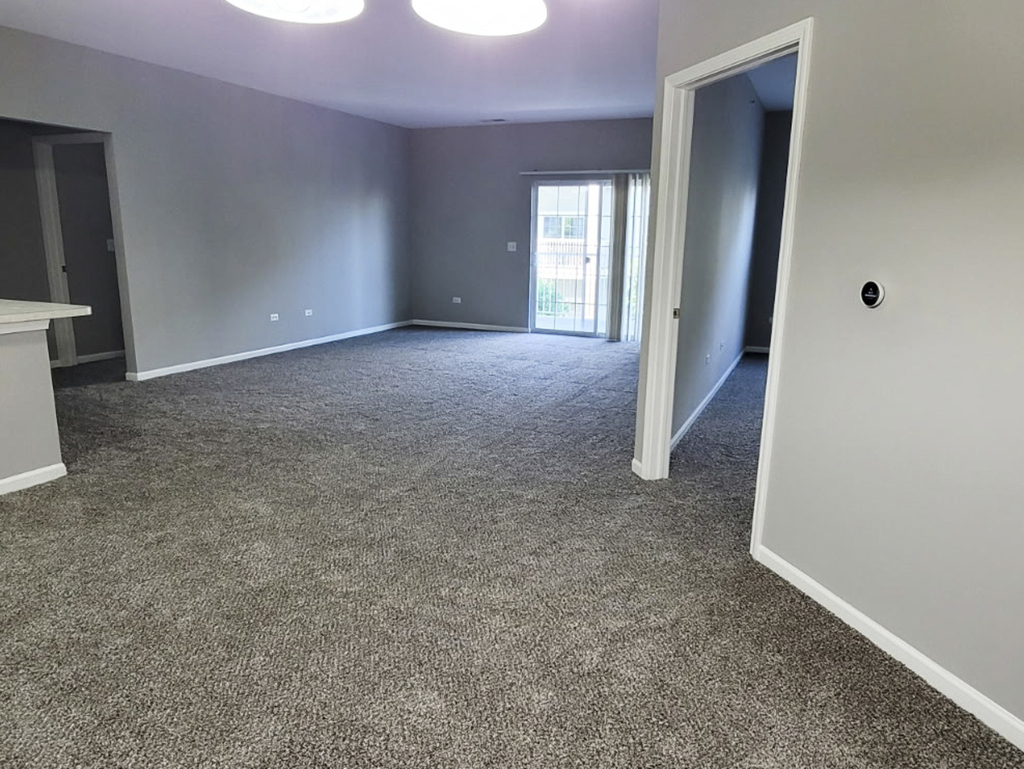 1259 W Lake Street - Photo 4