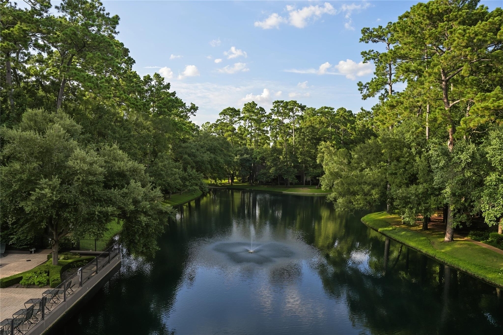102 Litchfield Lane - Photo 11