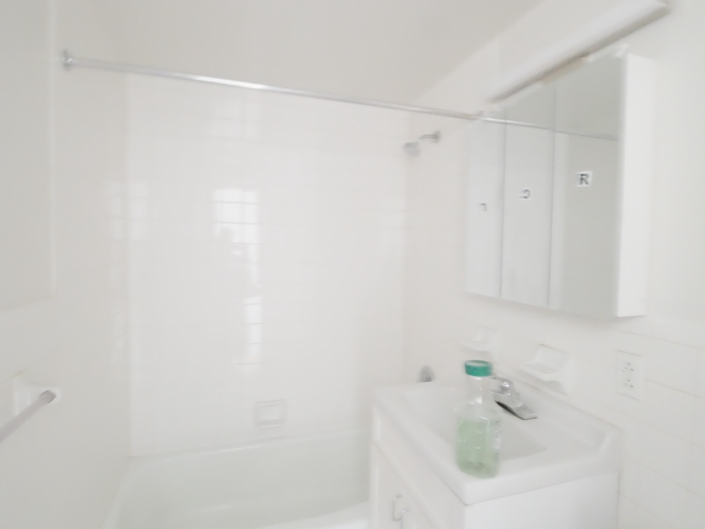 516 East 86th Street - Photo 6
