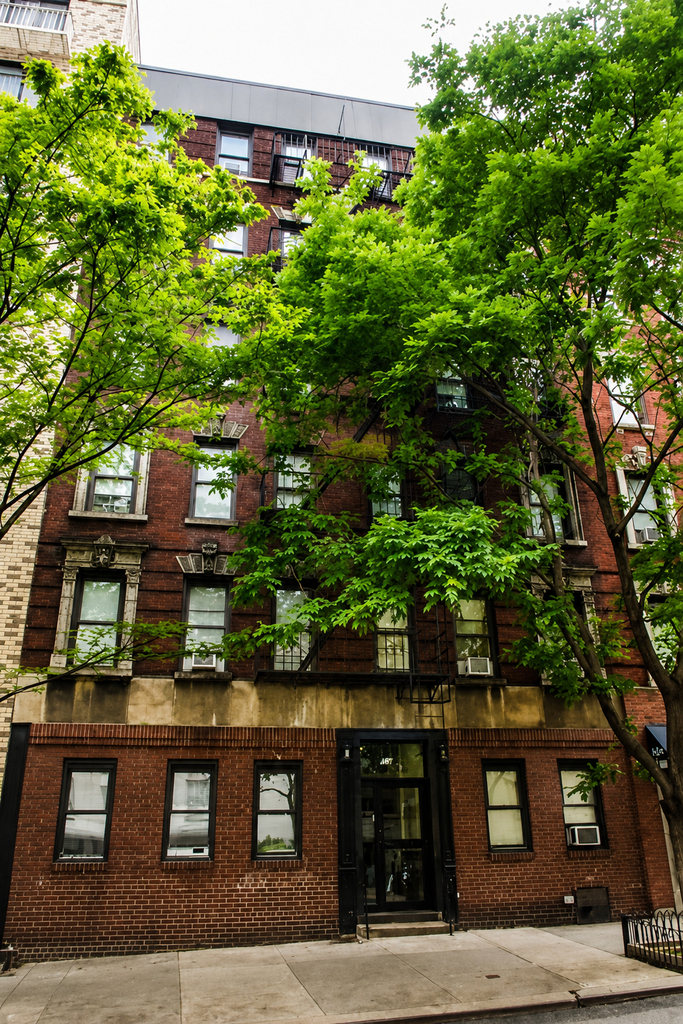 East 80th Street - Photo 2