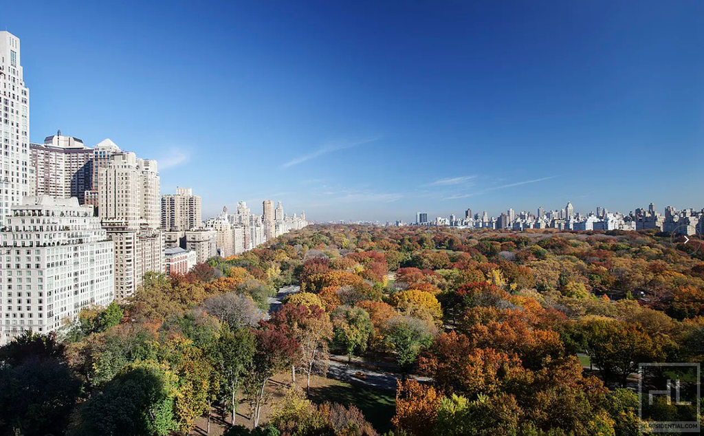 Central Park South - Photo 2