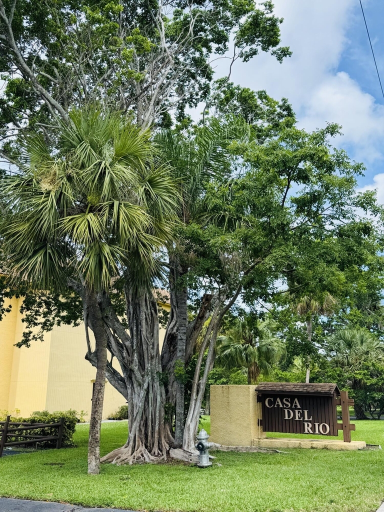 480 Nw 20th Street - Photo 14