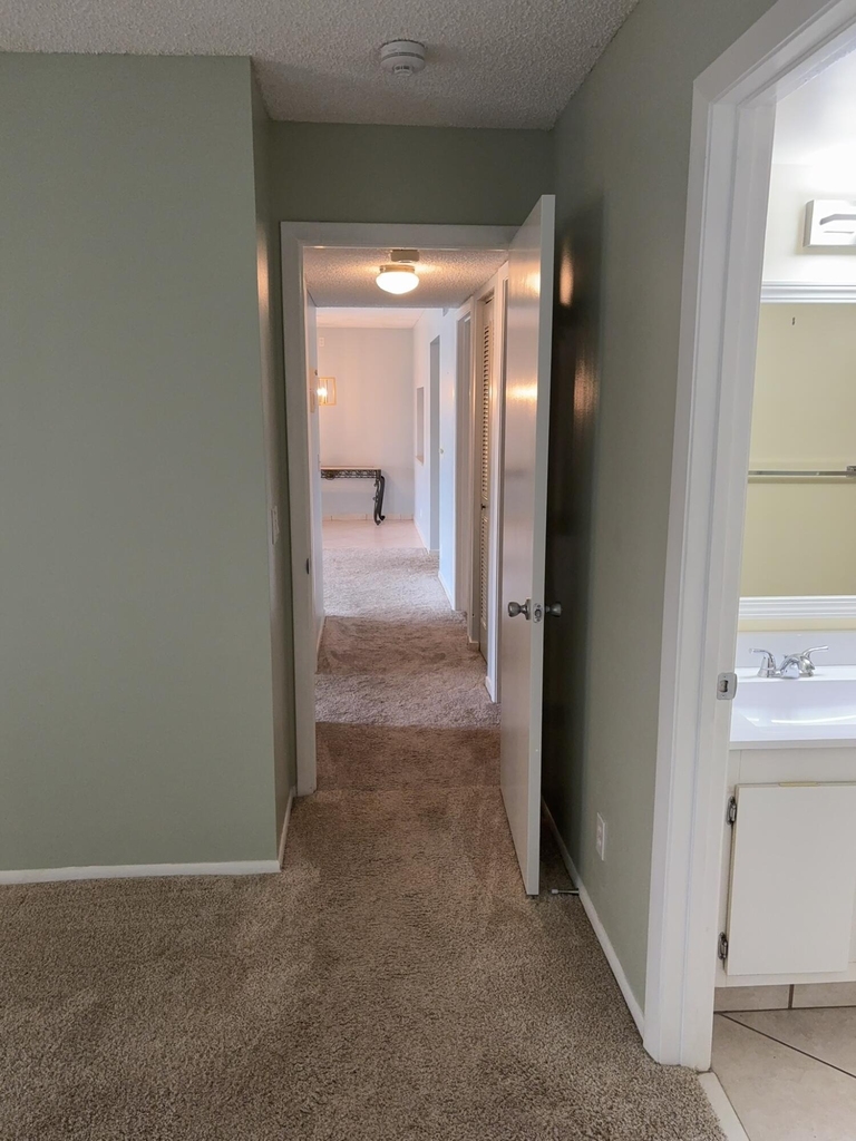 826 Sky Pine Way - Photo 7