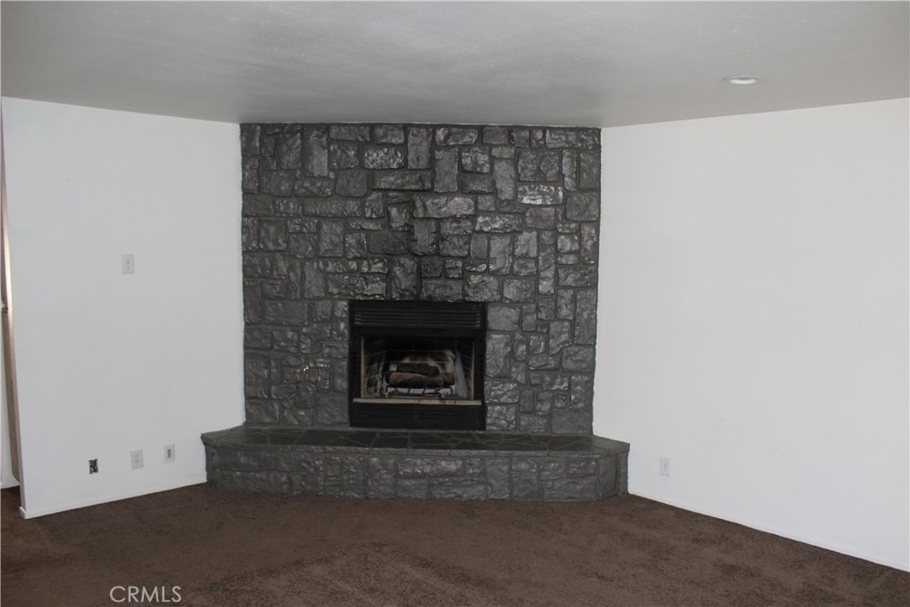 12426 Red Wing Road - Photo 9