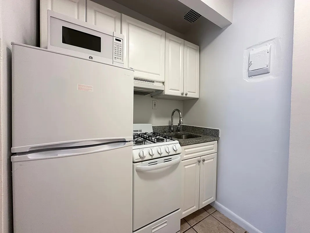 225 East 10th Street - Photo 2