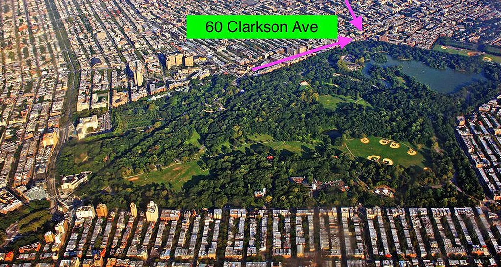 62 Clarkson Avenue - Photo 7