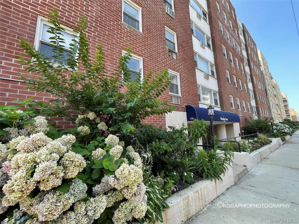 750 Shore Road - Photo 25