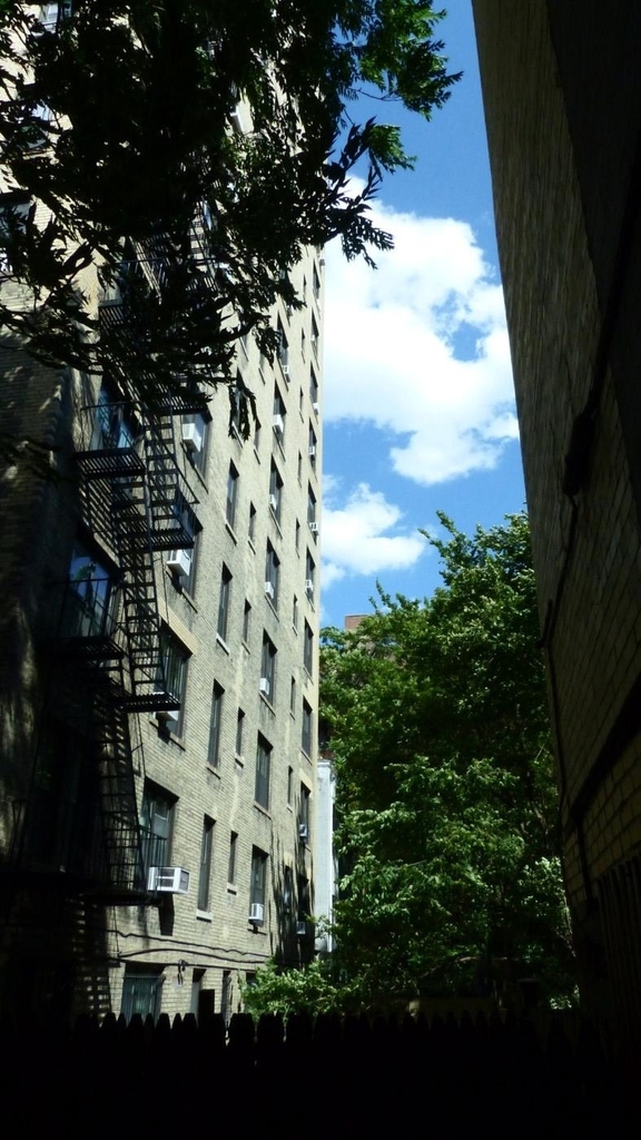 318 W 106th Street - Photo 6