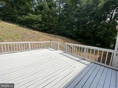 11304 Springfield Drive - Photo 22