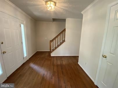 11304 Springfield Drive - Photo 3