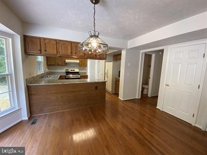 11304 Springfield Drive - Photo 8