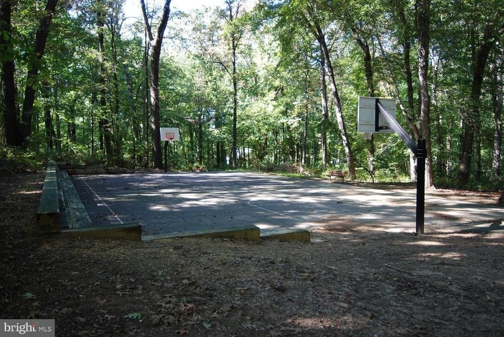 7332 Blade Drive - Photo 62