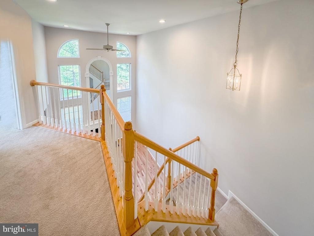 16 Dispatch Drive - Photo 25