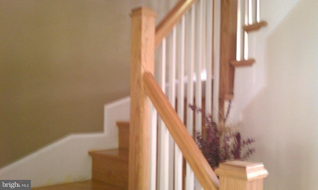 4509 Harling Lane - Photo 17
