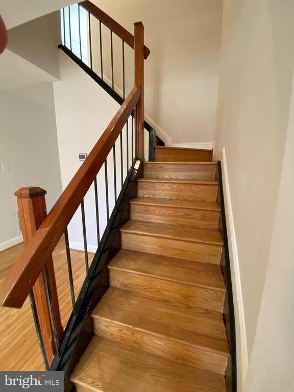802 Mangold Street - Photo 16