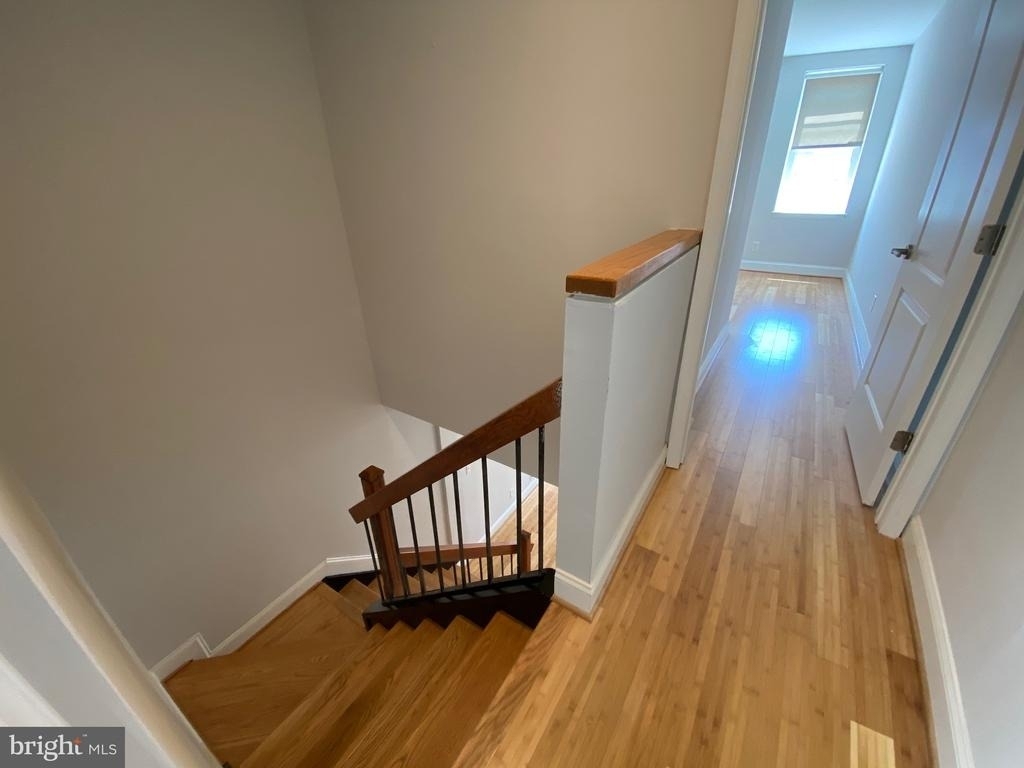 802 Mangold Street - Photo 18