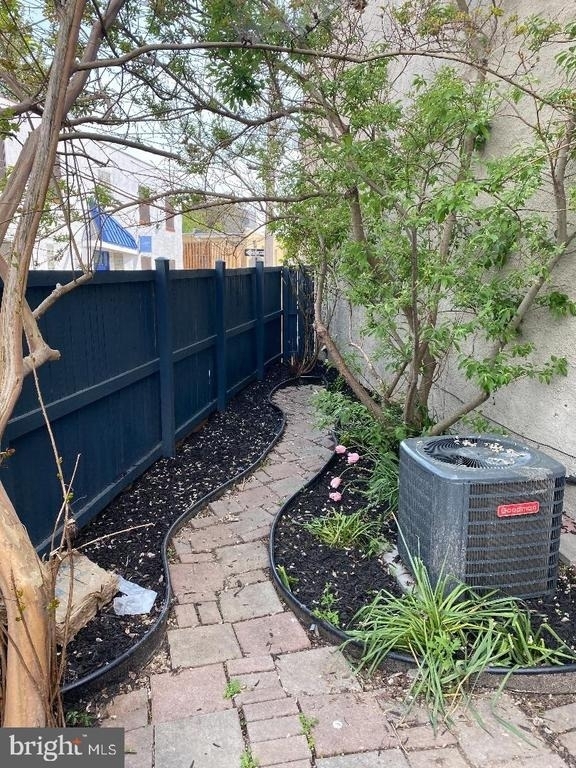 802 Mangold Street - Photo 3