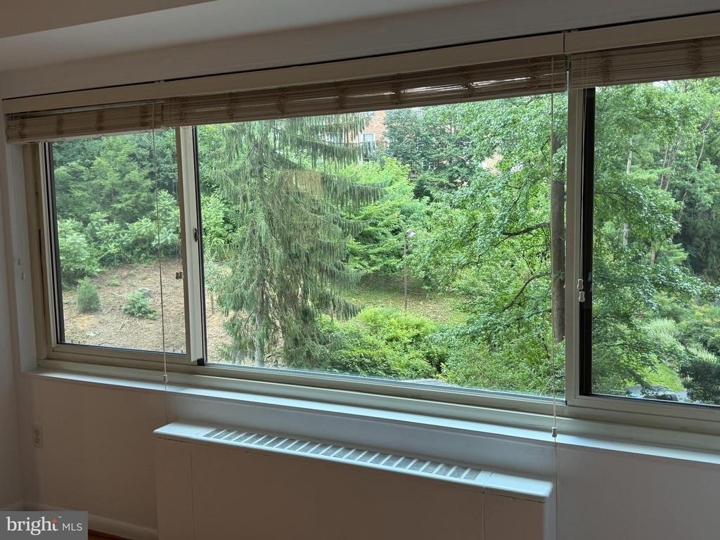 4201 Cathedral Avenue Nw - Photo 9