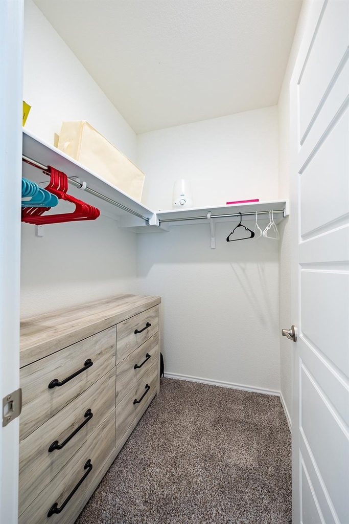 7216 Gray Catbird Dr - Photo 12