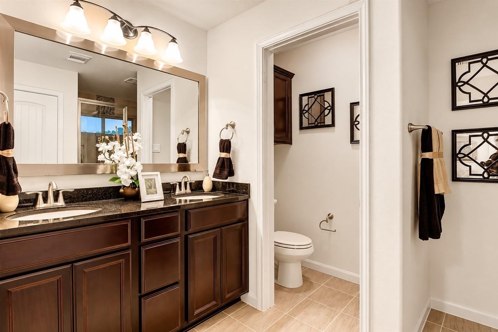 1209 Snow Goose - Photo 12