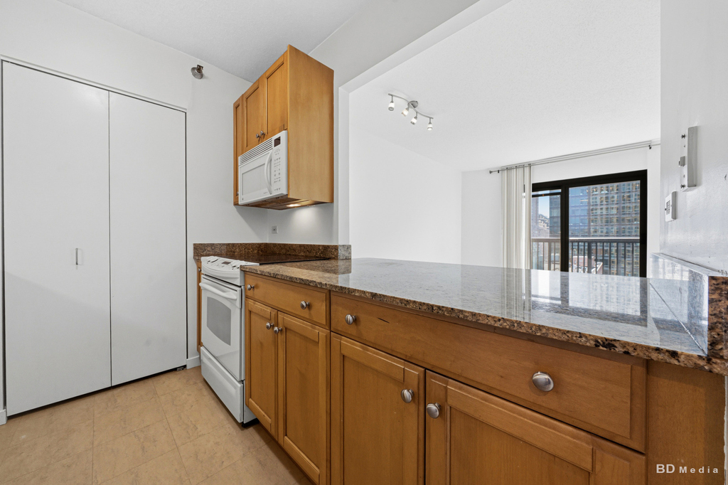 400 N Lasalle Street - Photo 9