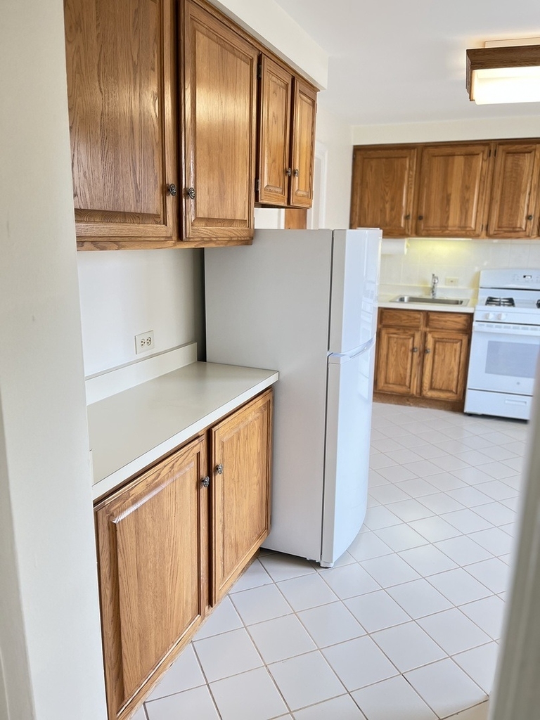 1310 Wilmette Avenue - Photo 20