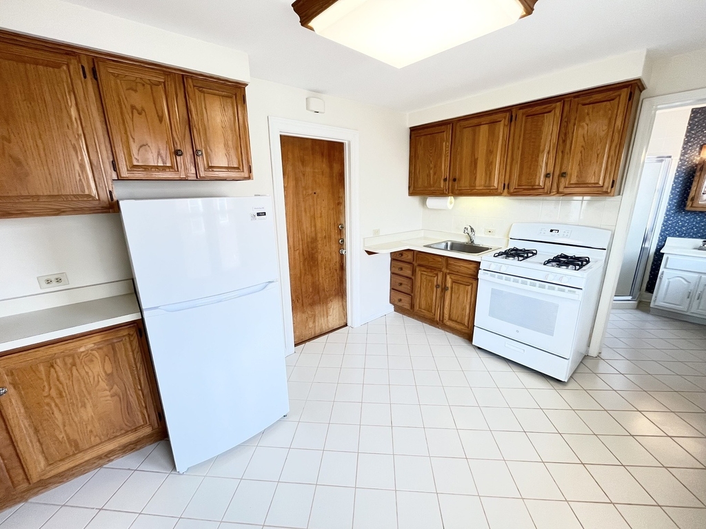 1310 Wilmette Avenue - Photo 5