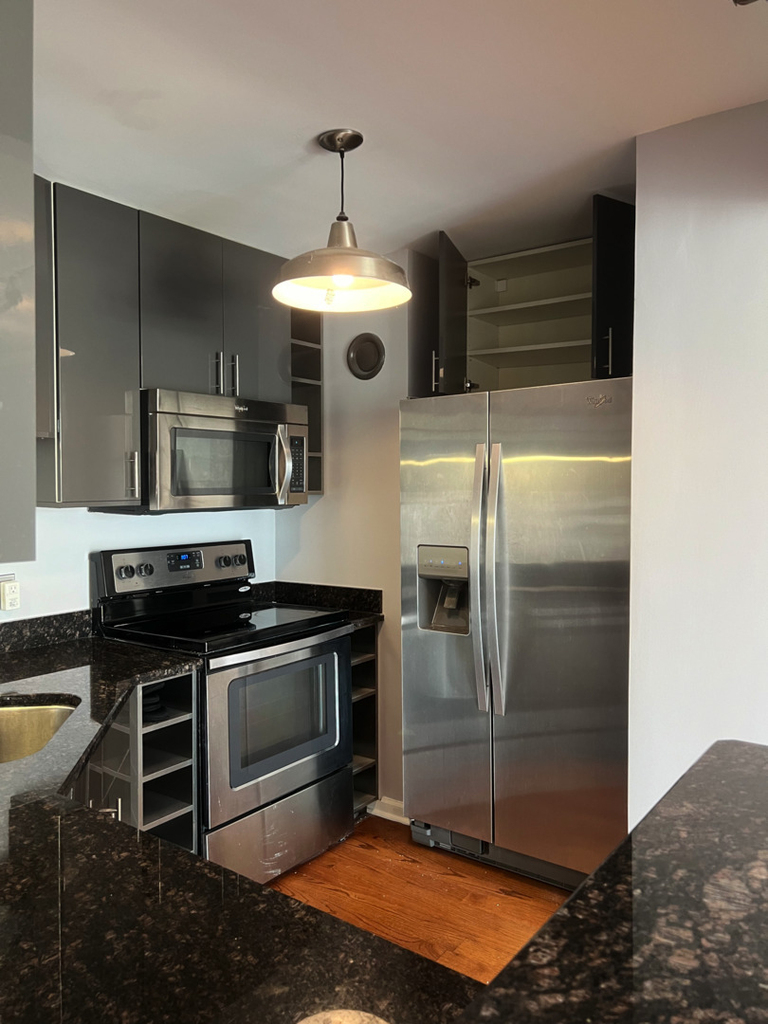195 N Harbor Drive - Photo 5