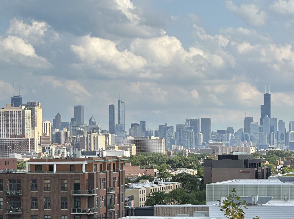 3740 N Halsted Street - Photo 8