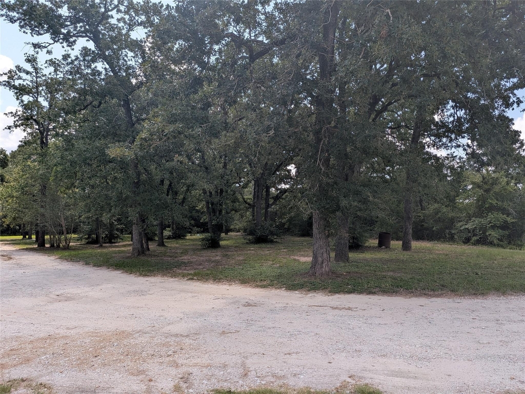 1139 County Rd 403 - Photo 43