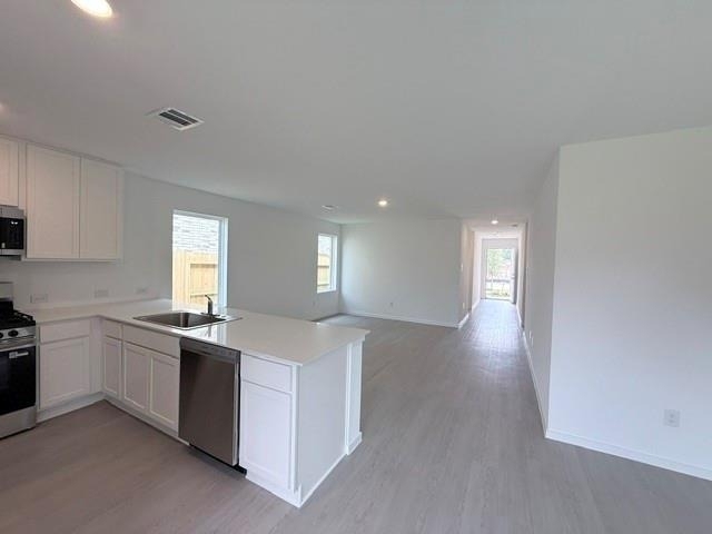 31520 Olivella Drive - Photo 4
