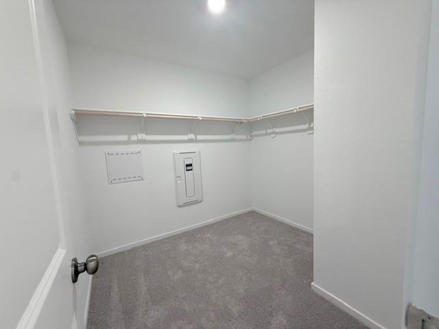 31520 Olivella Drive - Photo 11