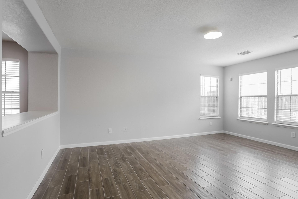 11210 Flying Geese Lane - Photo 3