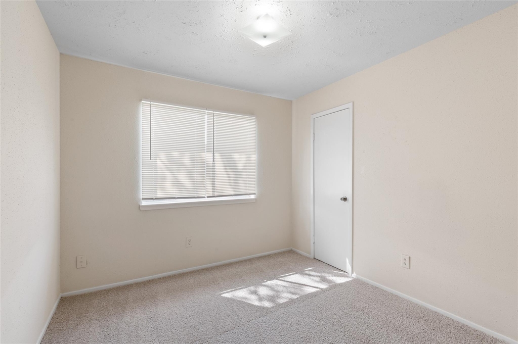 20035 Dawn Mist Drive - Photo 10