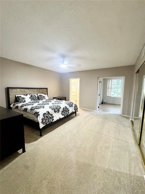 2402 Ecuadorian Way - Photo 13