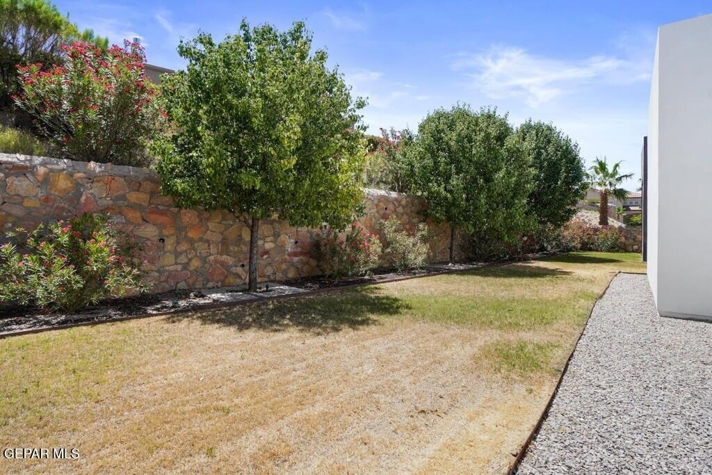 6324 Via Serena Drive - Photo 4