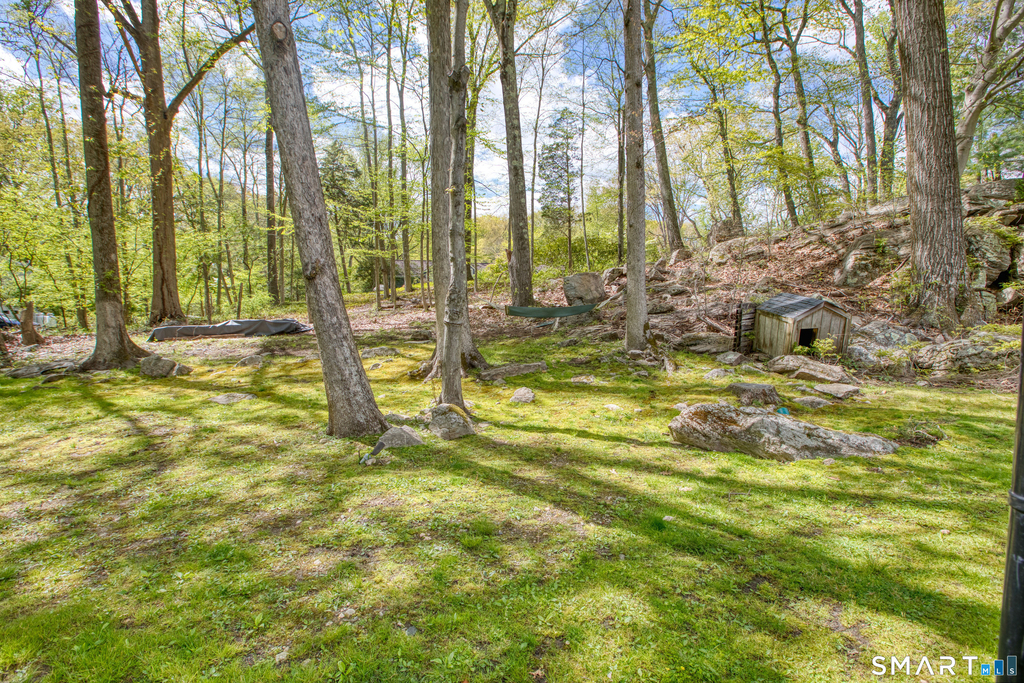 119 Dundee Road - Photo 33