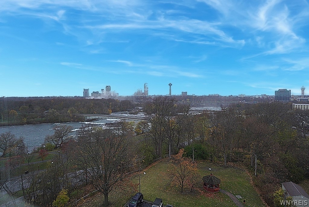 151 Buffalo Avenue - Photo 9