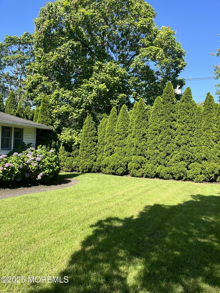 418 5th Avenue - Photo 2