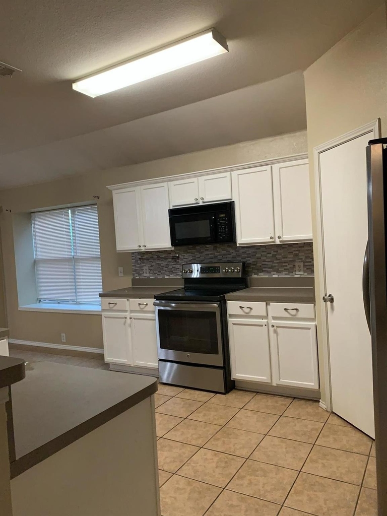 8532 Minturn Drive - Photo 14