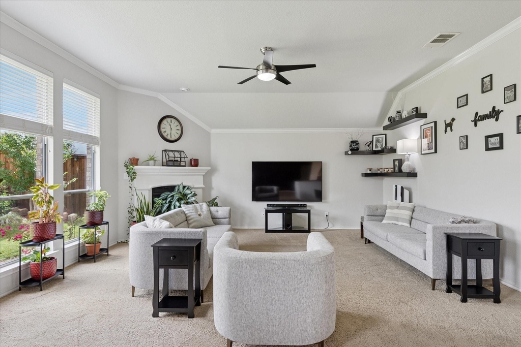 10237 Red Bluff Lane - Photo 5