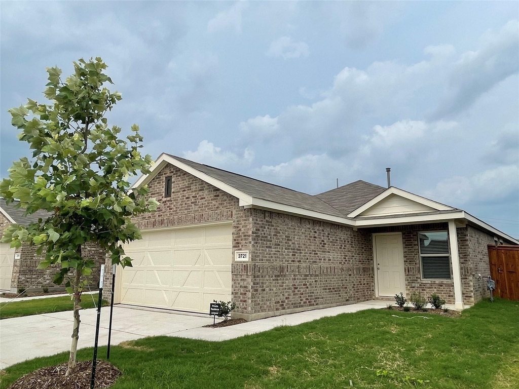 3721 Harper Street - Photo 1