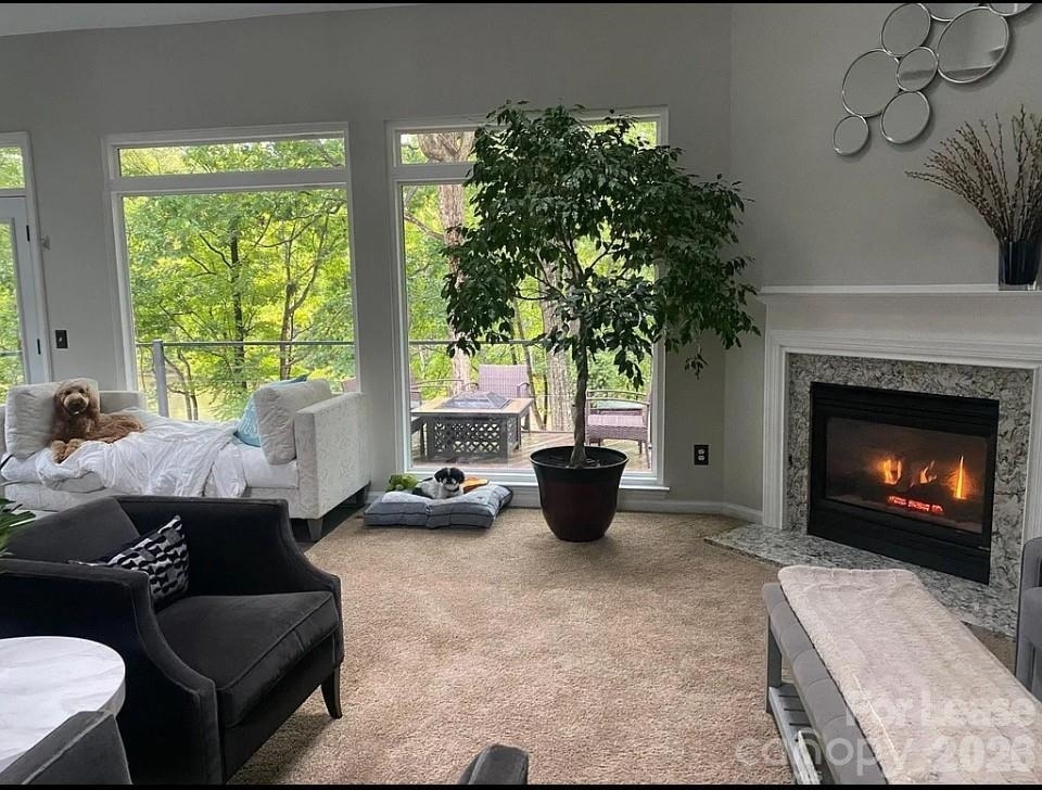 519 Delburg Street - Photo 18