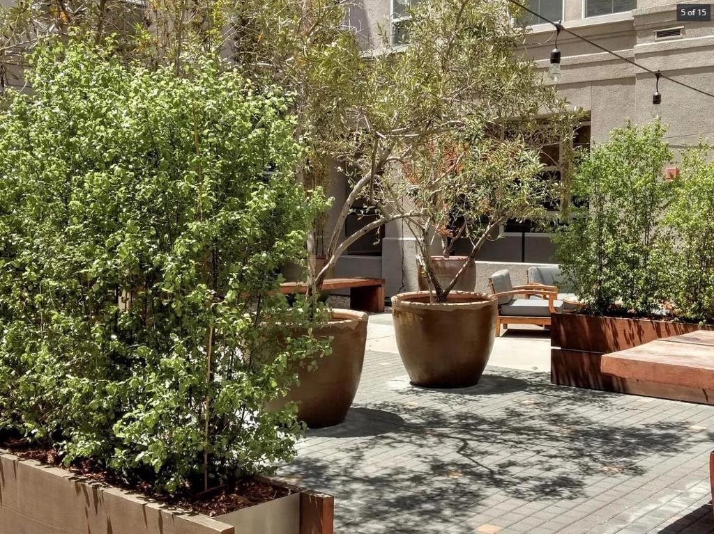 821 Folsom Street - Photo 16